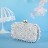 Elegant Evening Bag with Chain Strap