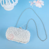 Elegant Evening Bag with Chain Strap